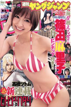 马男波杰克第一季